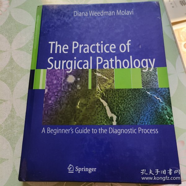 The Practice of Surgical Pathology: A Beginner's Guide to the Diagnostic Process