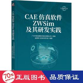 cae软件zwsim及其研发实践 软硬件技术 作者 新华正版