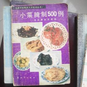 小菜腌制500例