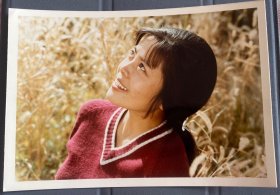 【中影发行放映公司旧藏】八十年代专业摄影师拍摄当红明星杨海莲彩色照片一张
