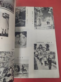 全国摄影艺术展览