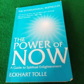 英文原版书 The Power of Now: A Guide to Spiritual Enlightenment 现在的力量：精神启蒙指南 Eckhart Tolle (Author)
