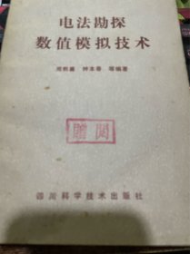 电法勘探数值模拟技术（馆藏正版）