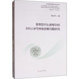 教育现代化进程中的农村小学可持续发展问题研究