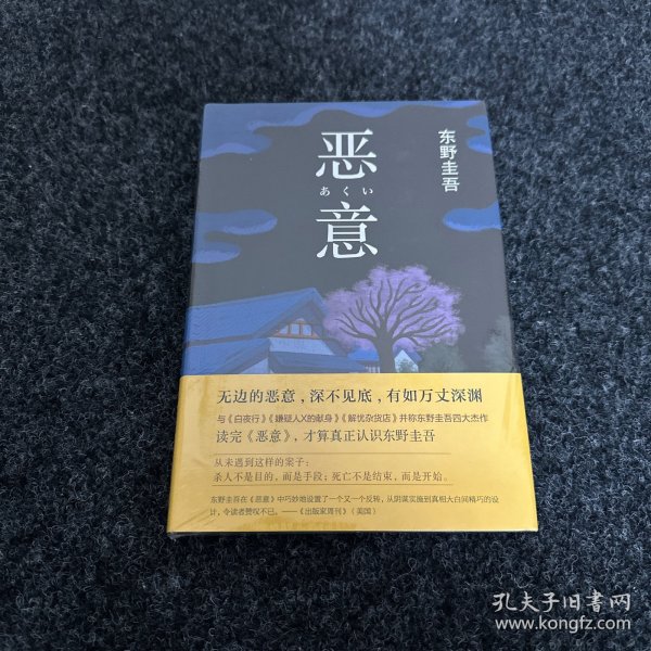 恶意：东野圭吾作品