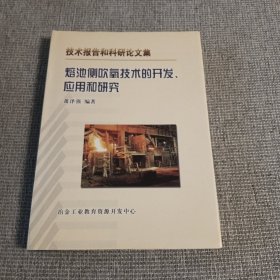 熔池侧吹氧技术的开发应用和研究