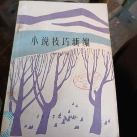 小說技巧新編
