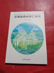 云南省森林碳汇研究