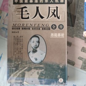 黑白档案:毛人凤全传