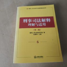 刑事司法解释理解与适用6（第2版）