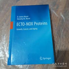 ECTO-NOX Proteins