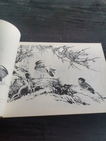 花鸟画谱