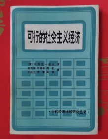 可行的社会主义经济