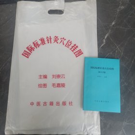 国际标准针灸穴位挂图