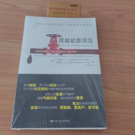 跨越能源鸿沟：后石油时代如何应对能源危机