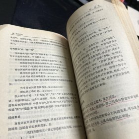 小学语文教师手册