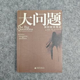 大问题：简明哲学导论