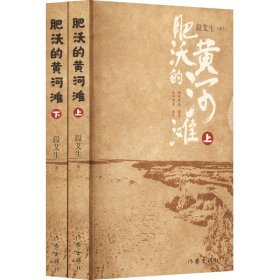 肥沃的黄河滩(全2册) 中国现当代文学 段艾生 新华正版