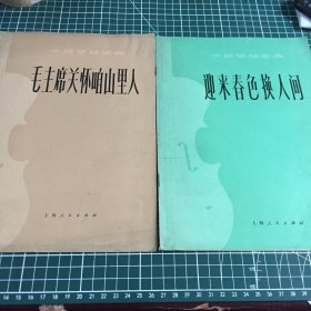 小提琴独奏 毛主席关怀咱山里人 迎来春色换人间