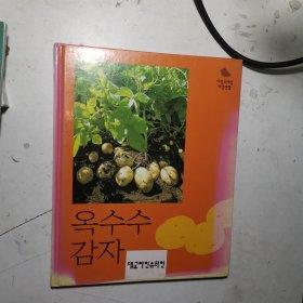 옥수수 감자 대고아인슈타인（玉米土豆）