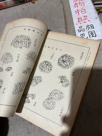 芥子园画传：第二集