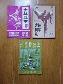 少林拳技击 少林擒拿法 少林武术秘传 3本合售