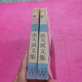 张天翼文集短篇小说【第二卷、第四卷两本合售，1985年1版1印】