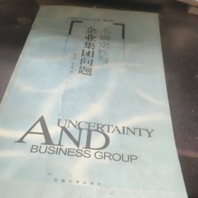 不确定性与企业集团问题——产业组织与管理丛书