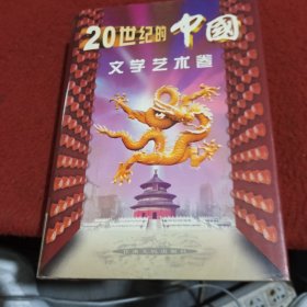 20世紀(jì)的中國.文學(xué)藝術(shù)卷