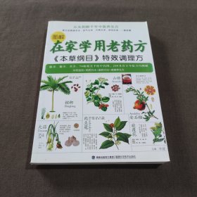 图解在家学用老药方：《本草纲目》特效调理方