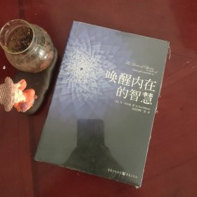 唤醒内在的智慧