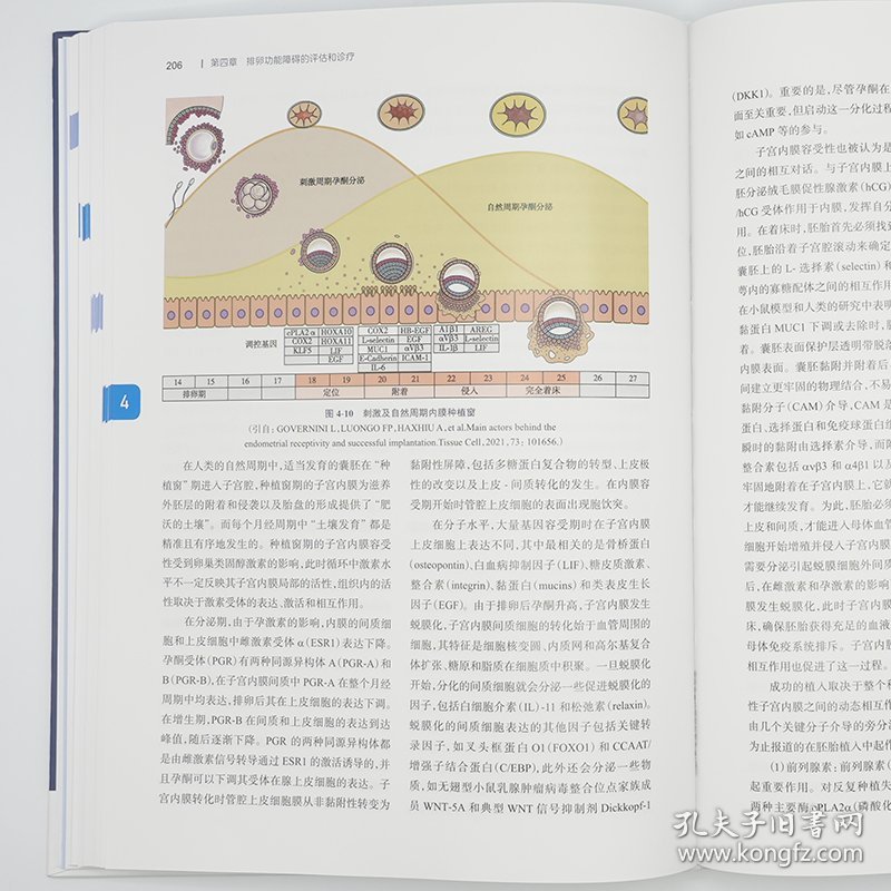 临床诱导排卵与卵巢刺激