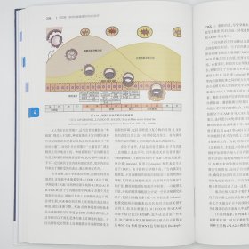 临床诱导排卵与卵巢刺激