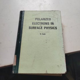 POLARIZED ELECTRONS IN SURFACE PHYSICS表面物理中的极化电子（英文版）