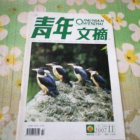 青年文摘 2007.11下半月刊