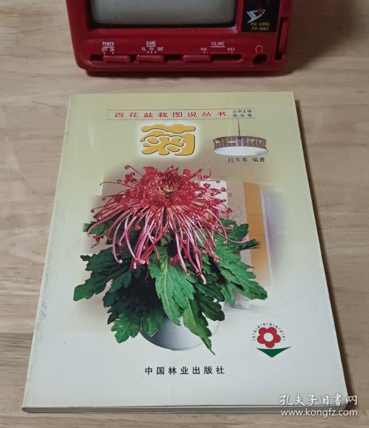 菊