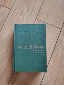 针灸学辞典