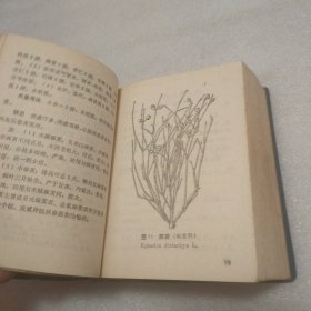 北方常用中草药手册