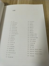 南京师范大学美术学院教师作品系列·时卫平