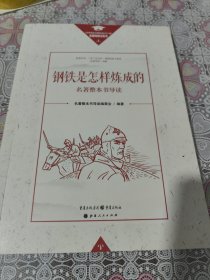 《钢铁是怎样炼成的》名著整本书导读 包邮