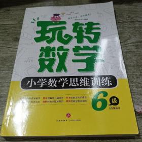 玩转数学小学数学思维训练 6级