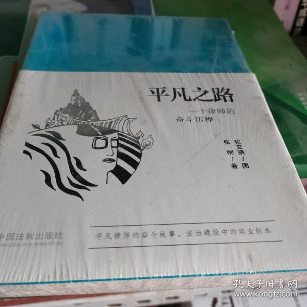 平凡之路：一个律师的奋斗历程