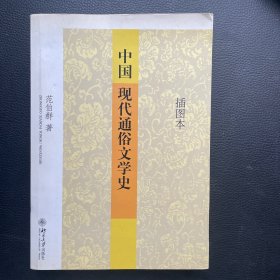 中国现代通俗文学史 插图本