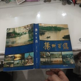 扬州百镇-扬州历史文化丛书