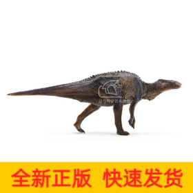 满洲龙/恐龙大王成长陪伴模型