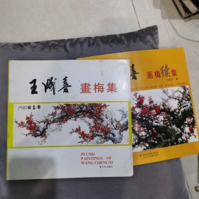 王成喜画梅集+王成喜画梅续集（2册合售）