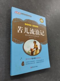 苦儿流浪记