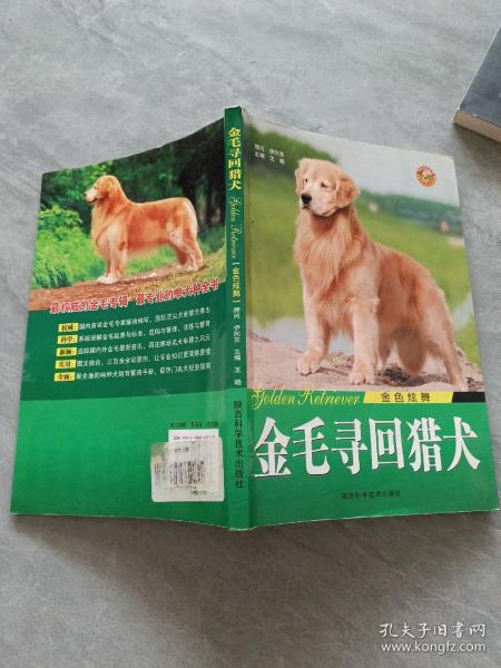 金色炫舞：金毛寻回猎犬