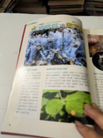 博物2022年02