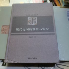 现代电网的发展与安全